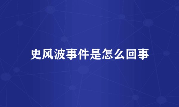 史风波事件是怎么回事