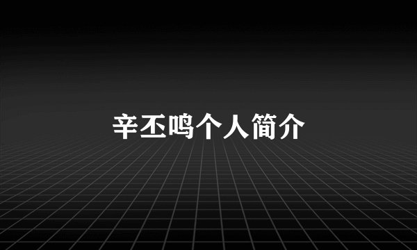 辛丕鸣个人简介