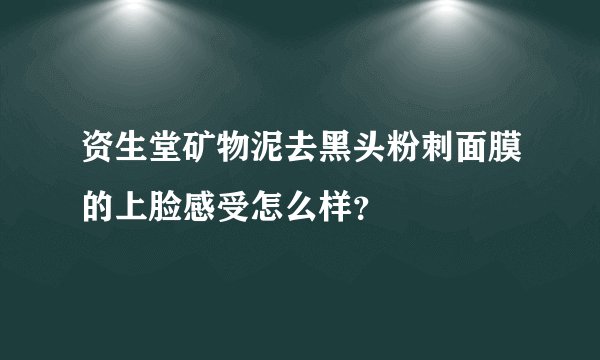 资生堂矿物泥去黑头粉刺面膜的上脸感受怎么样？