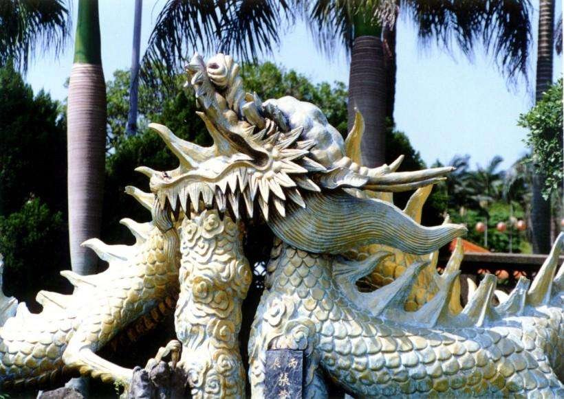 天奇地怪打一生肖