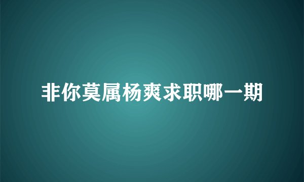 非你莫属杨爽求职哪一期