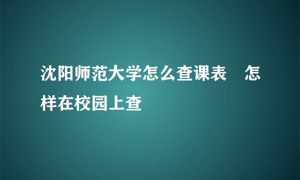 沈阳师范大学怎么查课表 怎样在校园上查