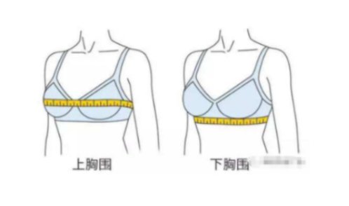 胸围96是什么概念？