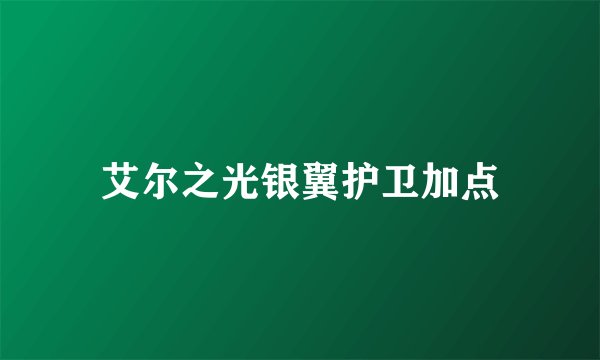 艾尔之光银翼护卫加点