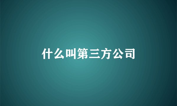 什么叫第三方公司