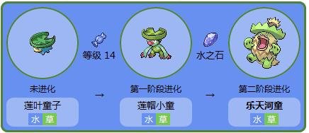 顶叶兽进化
