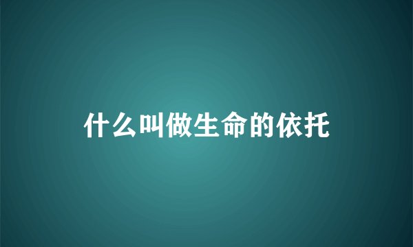 什么叫做生命的依托