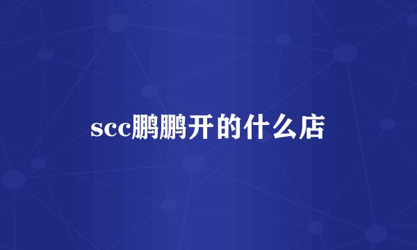 scc鹏鹏开的什么店