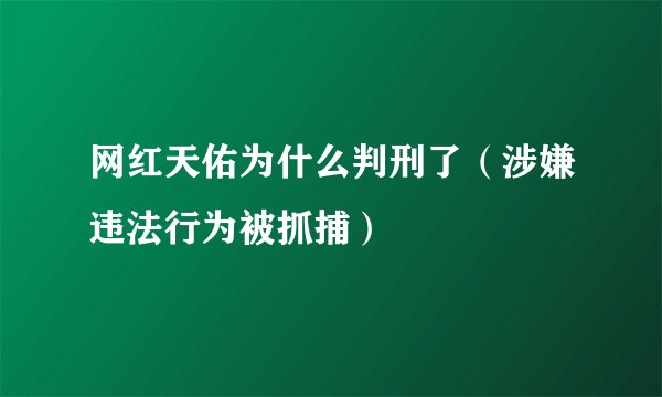 网红天佑为什么判刑了（涉嫌违法行为被抓捕）