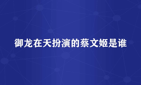 御龙在天扮演的蔡文姬是谁