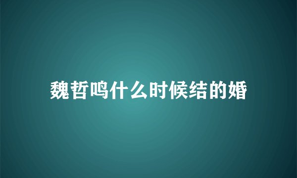 魏哲鸣什么时候结的婚