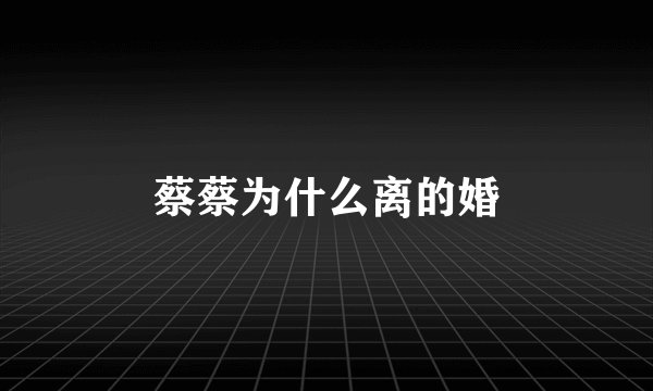蔡蔡为什么离的婚