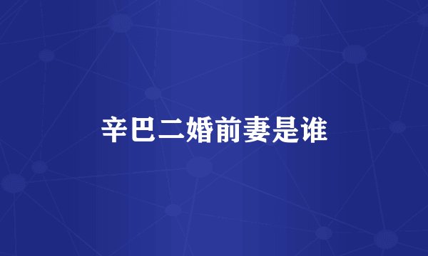 辛巴二婚前妻是谁