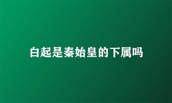 白起是秦始皇的下属吗