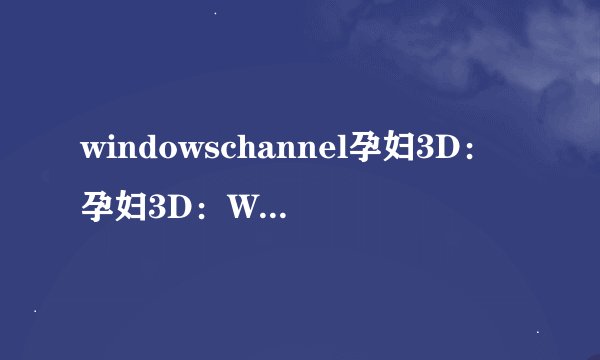 windowschannel孕妇3D：孕妇3D：Windows Channel的最新技术