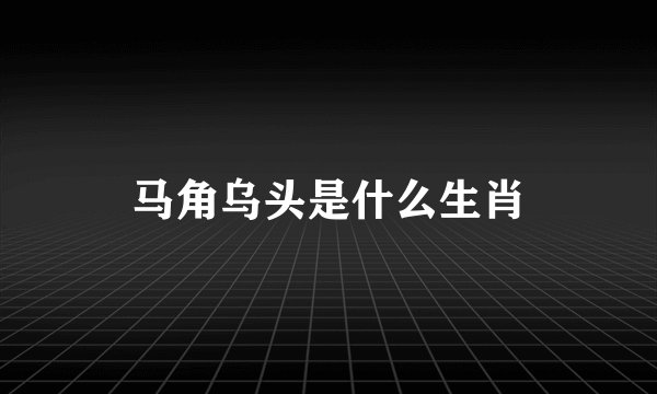 马角乌头是什么生肖