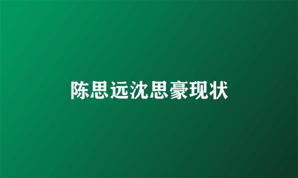 陈思远沈思豪现状