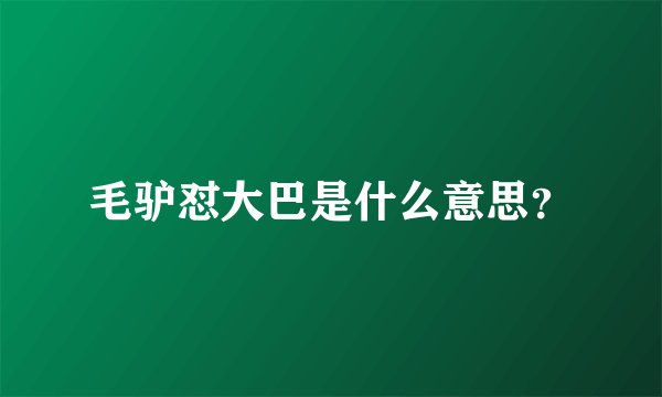 毛驴怼大巴是什么意思？