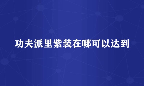 功夫派里紫装在哪可以达到