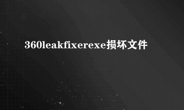 360leakfixerexe损坏文件