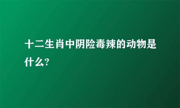 十二生肖中阴险毒辣的动物是什么?