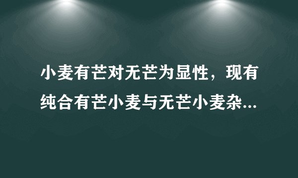 小麦有芒对无芒为显性，现有纯合有芒小麦与无芒小麦杂交得到F1，F1再自交得到F2，F2中有芒小麦随机交配，