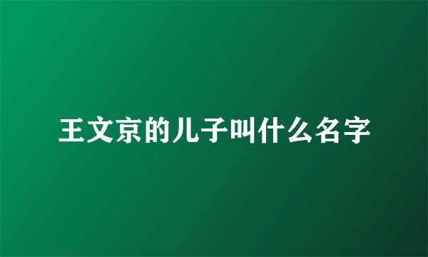 王文京的儿子叫什么名字