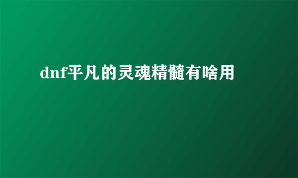 dnf平凡的灵魂精髓有啥用