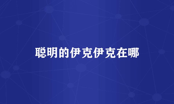 聪明的伊克伊克在哪