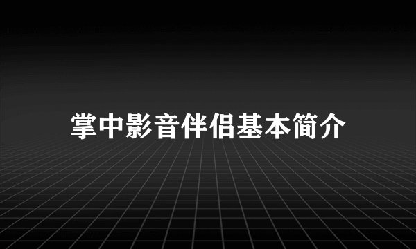 掌中影音伴侣基本简介