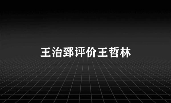 王治郅评价王哲林