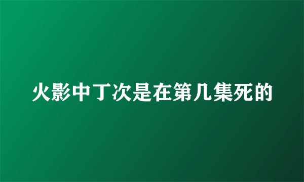 火影中丁次是在第几集死的