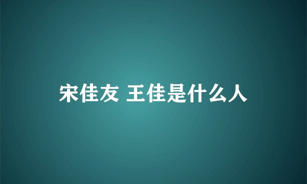 宋佳友 王佳是什么人