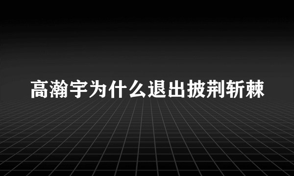 高瀚宇为什么退出披荆斩棘