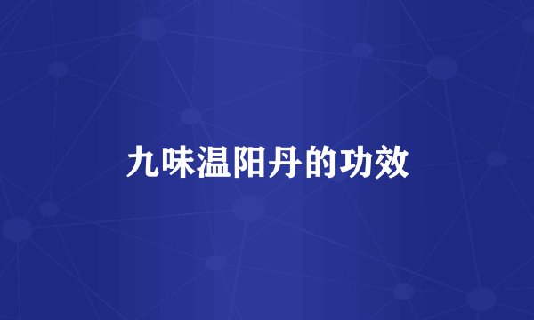 九味温阳丹的功效