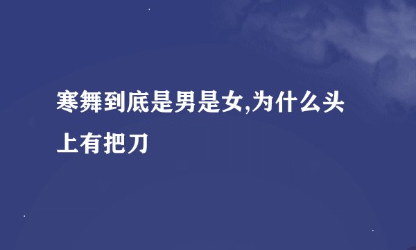 寒舞到底是男是女,为什么头上有把刀