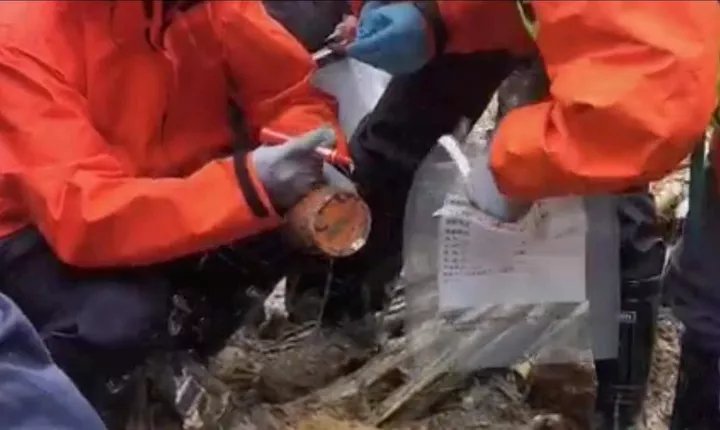 搜救现场法语书写着“问候和告别”,这本书的主人会是什么样子?