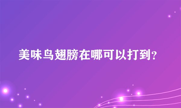 美味鸟翅膀在哪可以打到？