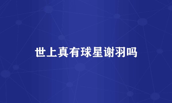 世上真有球星谢羽吗