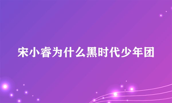 宋小睿为什么黑时代少年团
