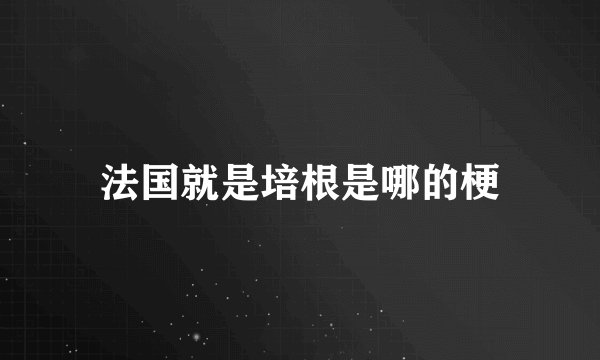 法国就是培根是哪的梗