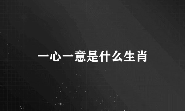 一心一意是什么生肖