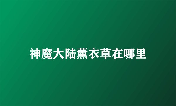 神魔大陆薰衣草在哪里