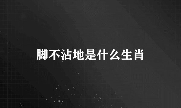 脚不沾地是什么生肖