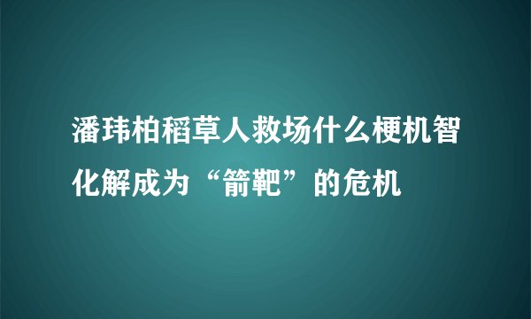 潘玮柏稻草人救场什么梗机智化解成为“箭靶”的危机