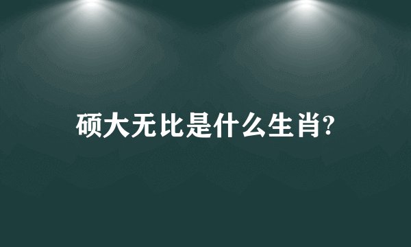 硕大无比是什么生肖?