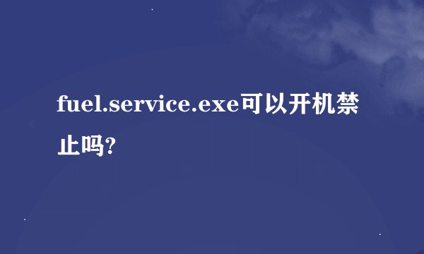 fuel.service.exe可以开机禁止吗?