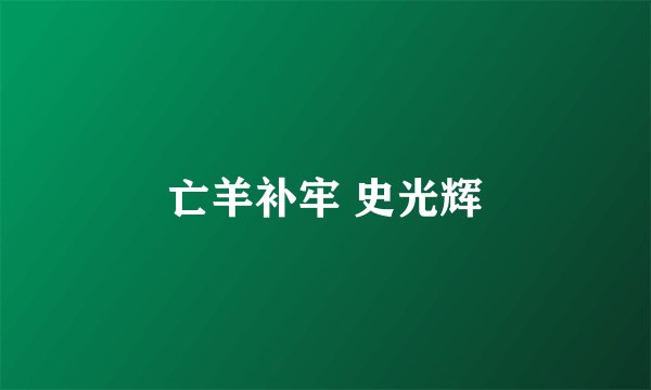 亡羊补牢 史光辉