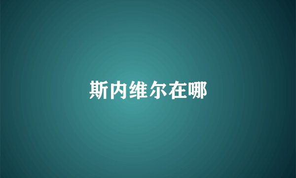 斯内维尔在哪