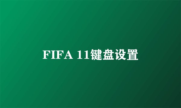 FIFA 11键盘设置